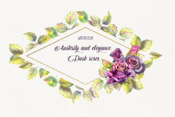 Austerity and Elegance. Dark Roses Illustrations