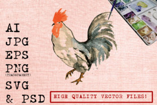 Blue Black Rooster Illustrations Review