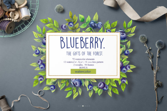 Blueberry the Gifts of the Forest: A Designer Review