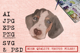 Cue Beagle Dog: A Designer's Practical Review