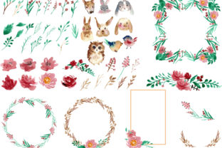 Cuteness in Water Color Illustrations Review