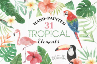 Elements Tropical Package Flamingo Tucan Illustrations