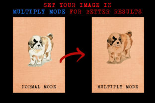 Fat Dog Illustrations for Branding Projects