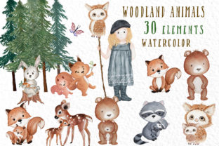 Forest Friends Cute Woodland Animals Illustrations