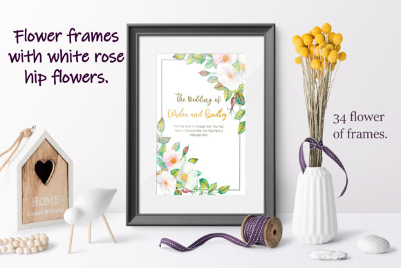 Frames with White Rose Hip Flowers Illustrations