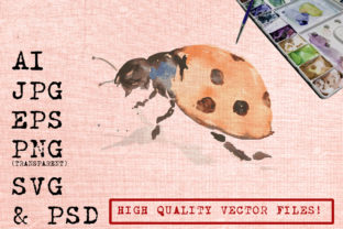 Orange Lady Bug Illustrations for Crafters