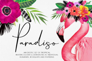 Paradiso Illustrations: A Seller's Review