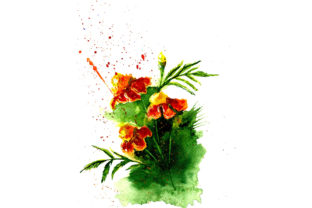 Sketch Drawing Orange Marigolds: A Designer's Review