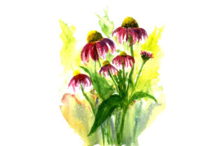 Sketch Drawing Summer Flowers Illustrations Review