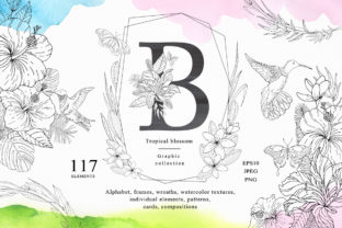 Tropical Blossom Graphic Collection & Illustrations