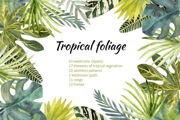 Tropical Leaves Illustrations for Digital Sales